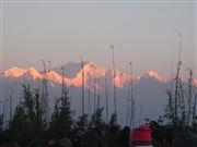 Beauty Moring