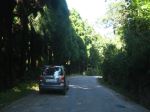 Nice Road