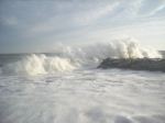 Beauty In The Waves