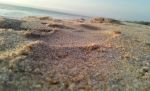 Sea Sand