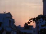 Wakeup Morning
