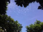 Heart In The Heaven