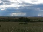 Light Shower