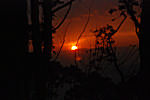 Nature Beauty