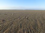 Low Tide