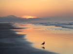 The Glow Of The Mountain From The Ocean With Bird
