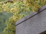 Floral Handrail