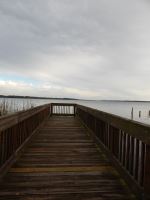 Lonely Dock