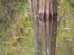 Reflections