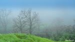 Mystical Nature