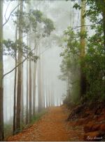 Pathway