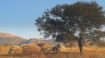  a Natural Painting
