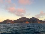 The Rosy Island 