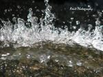 Dancing Water