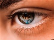 The Eye Of An American Boy