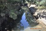 Water Reflection