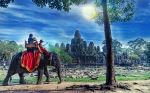 Elephant Ride