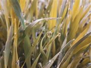 In A Drop