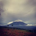 Summit