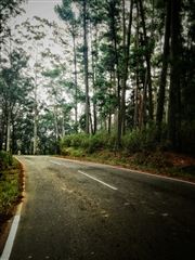 Alone Road