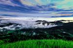 Elegy Beauty Of The Earth