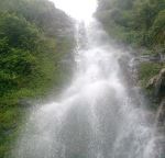 Stream