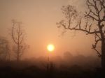 Sun Rising