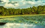 Kerala Gods Own Country