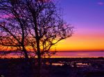 Dawn On The Island