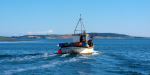 Going Fishing