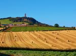 Harvest At The Tower