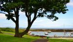 The Harbour At Groomsport