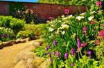 The Walled Garden