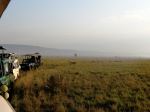 Trailing The Mara