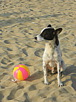 Somebody Wish To Play With Me