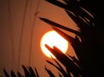 Sun Plays Hide And Seek