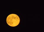 The Nights Moon