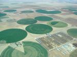 Fields