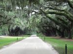 Southern Plantation 