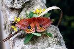 Mothing Around