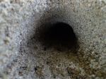 Hole Life
