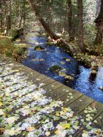 North Country Trail