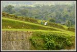 Children On A Cliff Running Down 
