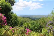 Garden View In Ahhh Ras Natango Garden Jamaica