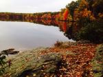 Fall Landscape