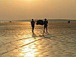 Sunset In The Beach