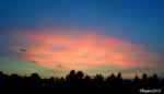 Pink Sunset