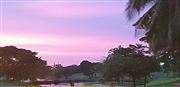 Lavender Sky
