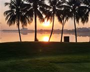 Tropical Dawn 