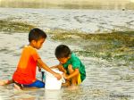 Children At The Beach